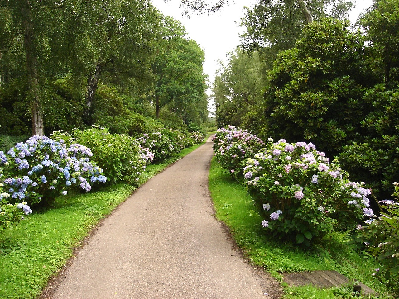 Fakenham Norfolk UK