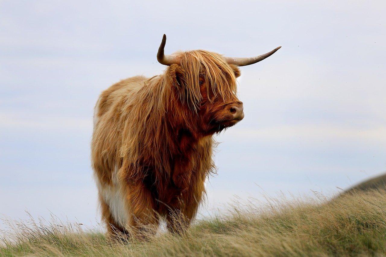 Tomatin Highland Scotland