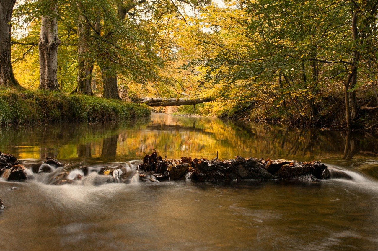 Motherwell North Lanarkshire Scotland