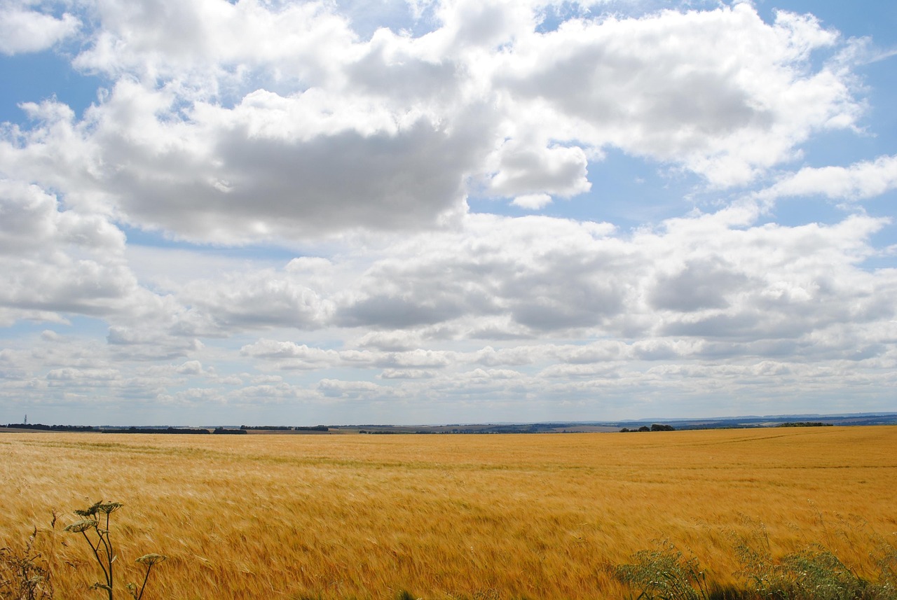 Chinnor Oxfordshire UK