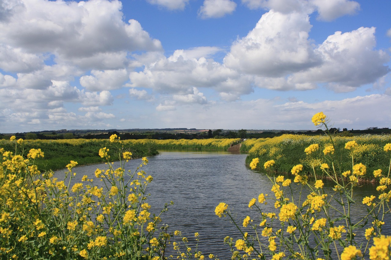Blagdon Somerset UK